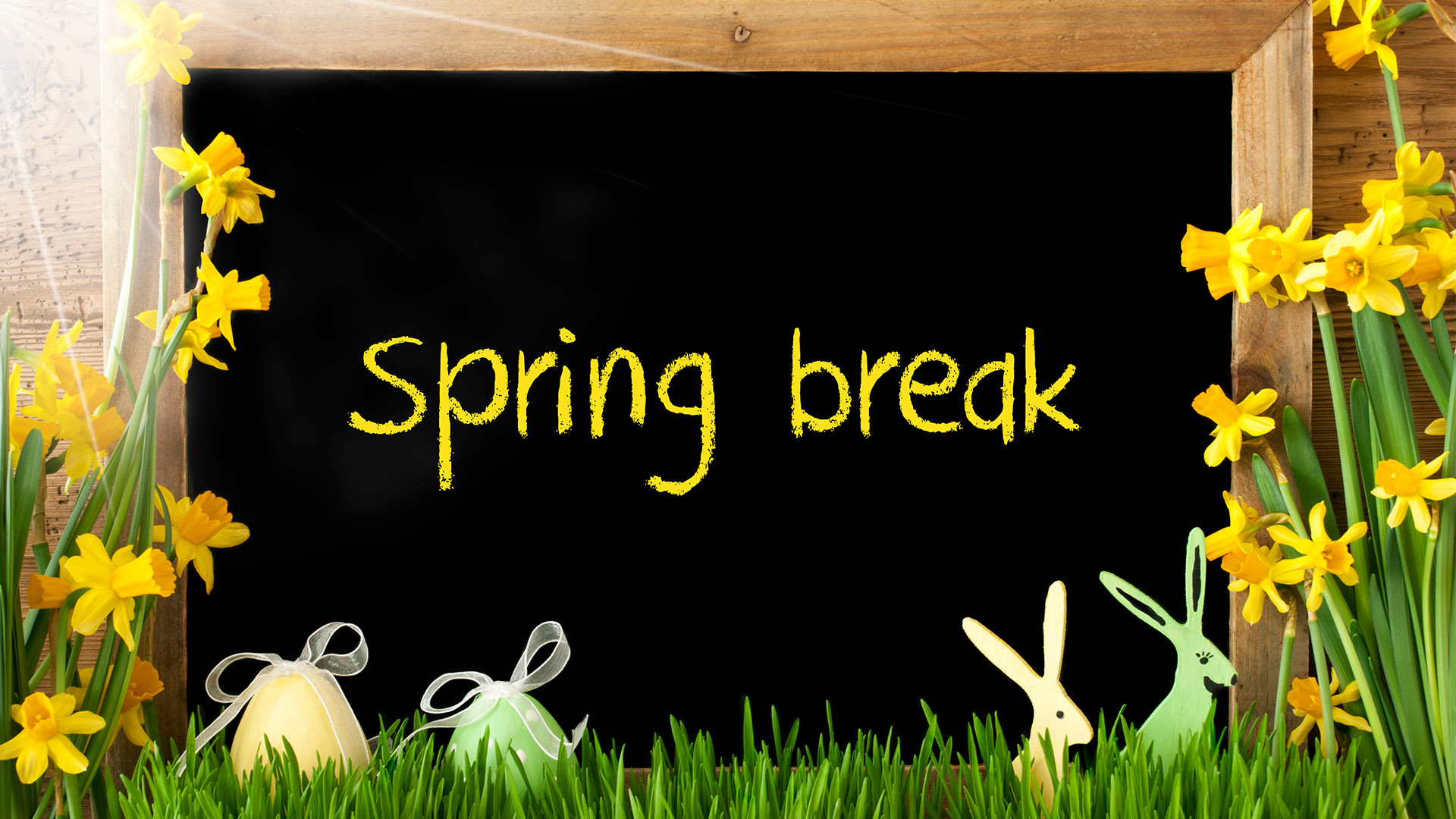 Events : Spring Break | Southwestern Michigan College